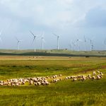 South Australia’s remarkable 100 per cent renewables run extends to over 10 days