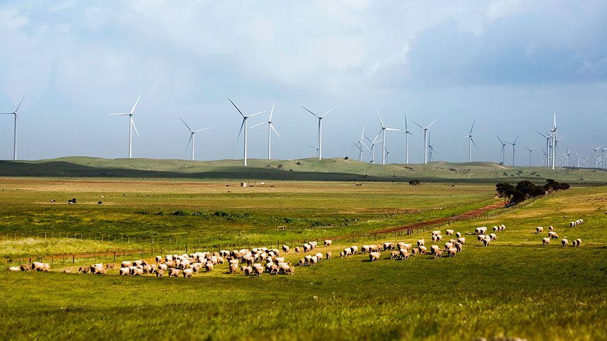 Infigen Energy Lake Bonney Wind farm - optimised
