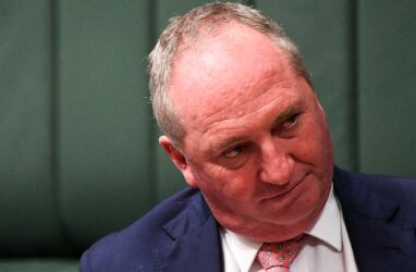 Nationals leader, and deputy prime minister, Barnaby Joyce in parliament. (AAP Image/Lukas Coch)