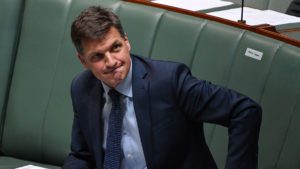 Minister for Energy Angus Taylor during Question Time in the House of Representatives at Parliament House in Canberra. (AAP Image/Mick Tsikas).