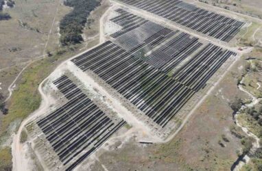 wandoan south solar farm vena energy