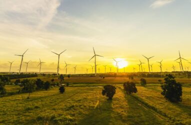 banner-wind-turbine-sun-trees-min